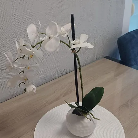 Alba Appartement